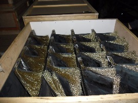 SAM_1134.JPG